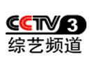 CCTV 3