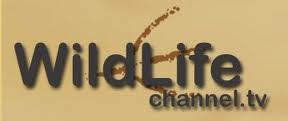 Wild Life Channel TV