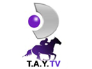 T.A.Y. TV