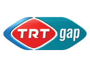 TRT Gap
