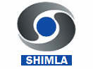 DD Shimla