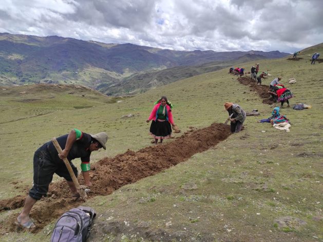 Rural Women in Peru Seed Water At the moment to Harvest It Tomorrow