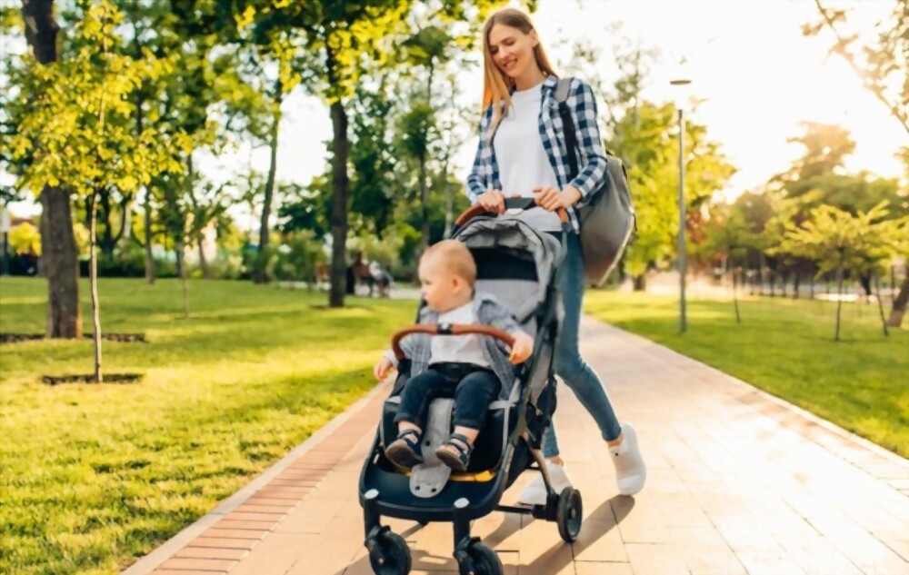 What to Imagine When Opting for a Stroller