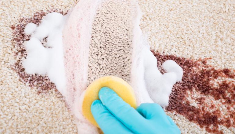 What Is It That You Want To Know About Reappearing Stains On Carpets