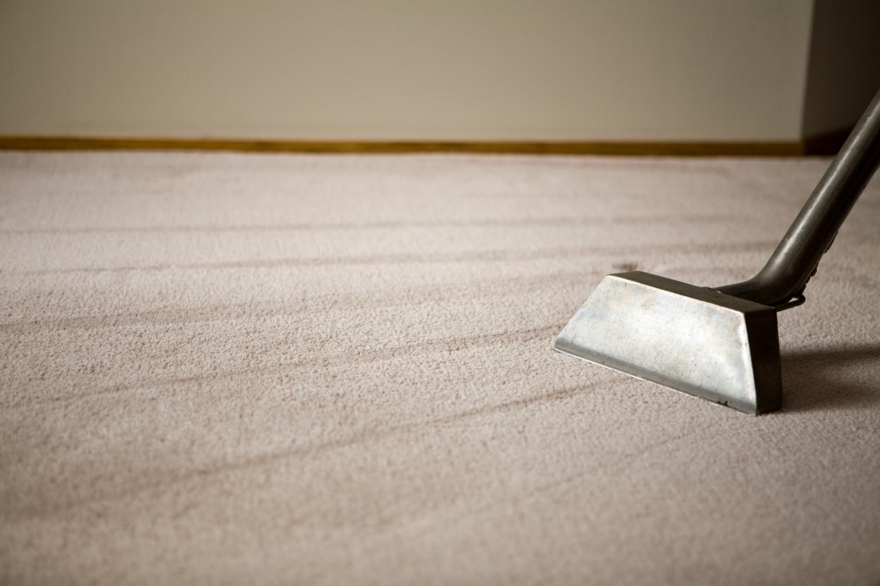 Techniques To Stay Away From Business Carpet Care Errors