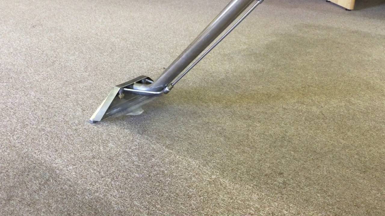 Dispose Of Allergen In The Flooded Carpets