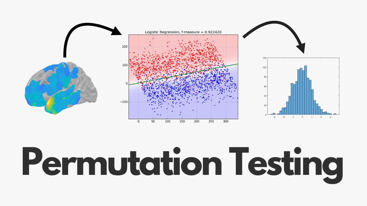 What Is A Permutation Test?