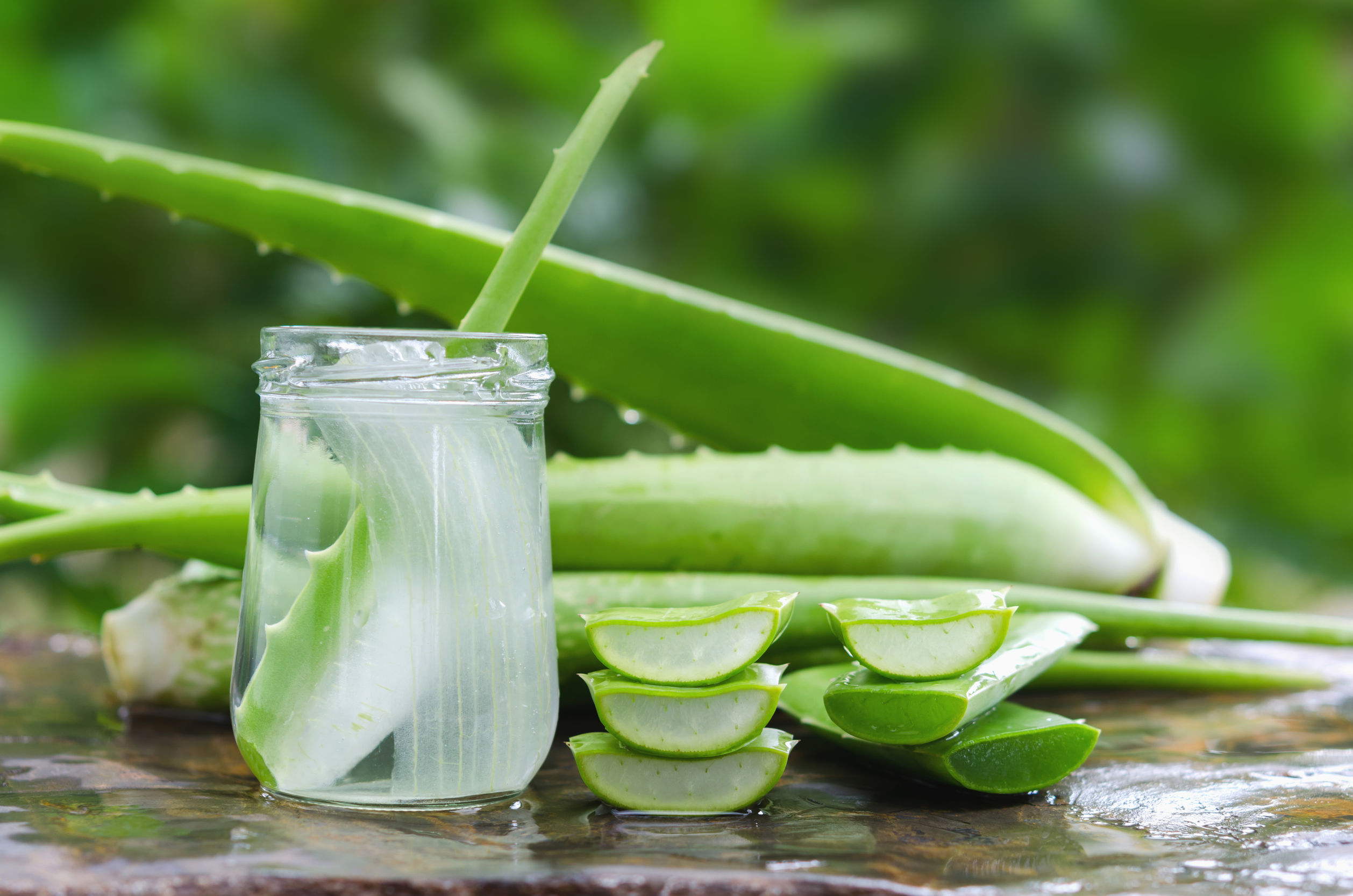 Aloe Vera gives many advantages