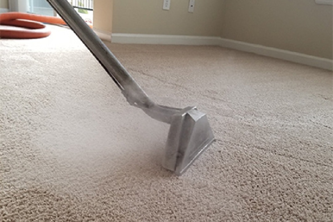 Steps You Can Carry Out For Dependable Existence Of The Carpet